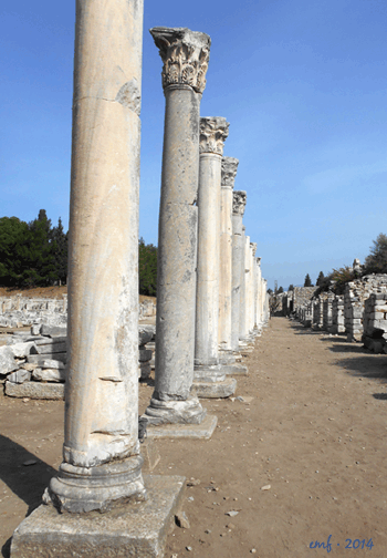 Agora columns in Ephesus