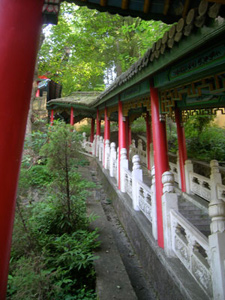 Walking Jiuhuashan