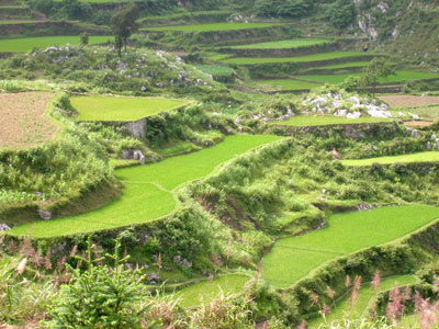 Farming terraces