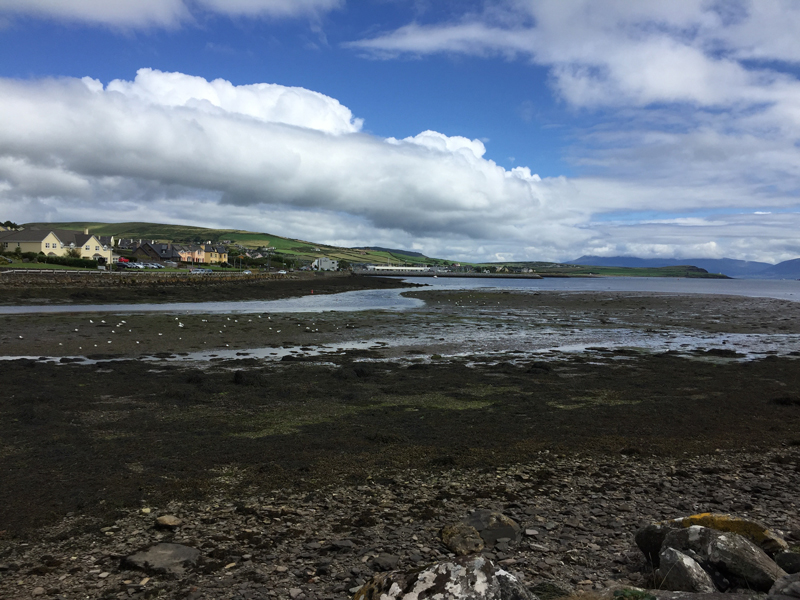 Dingle Harbour